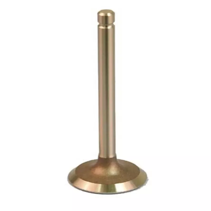 350cc and 295cc Intake Valve for EZGO 1996 – 2003