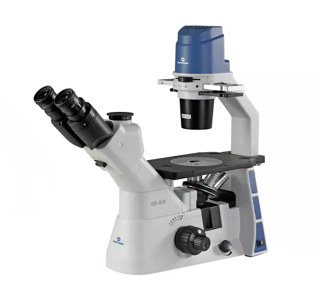 ACCU-SCOPE™ EXI-310-PH Inverted Microscope Series Trinocular with Plan Phase ObjectivesSmall and Specialty Supplier PartnerSmall and/or specialty supplier based on Federal laws and SBA requirements.Learn More" />