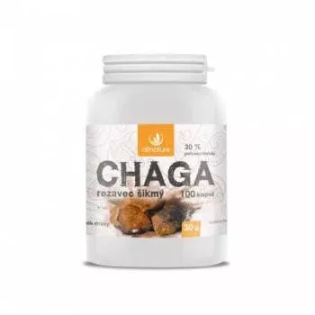 Allnature Chaga Rustic Oblique 100 capsules