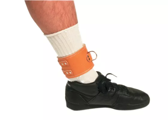 Baseline Back/Leg/Chest Dynamometer; Ankle Attachment