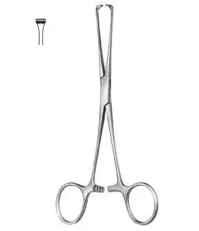 Boys Allis Tissue Forceps