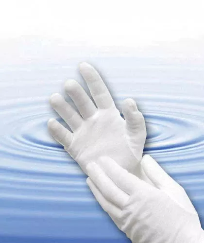 Bulk Cotton Gloves - White Large Bx/12 pr
