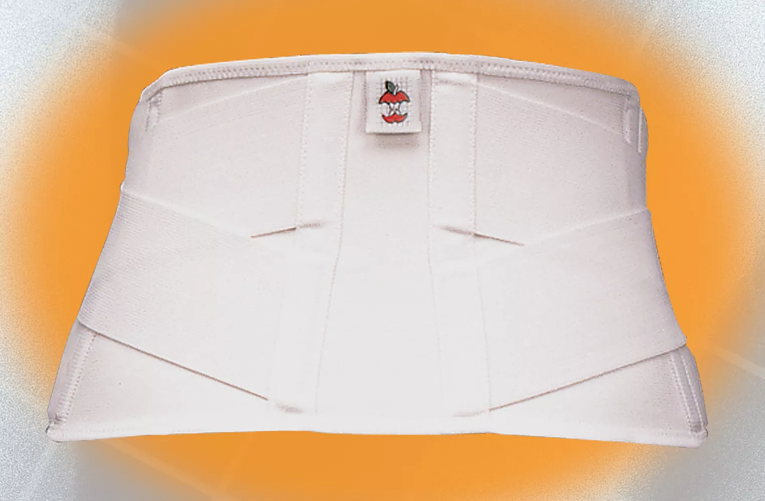 The Corfit System Lumbar Support, Size Small