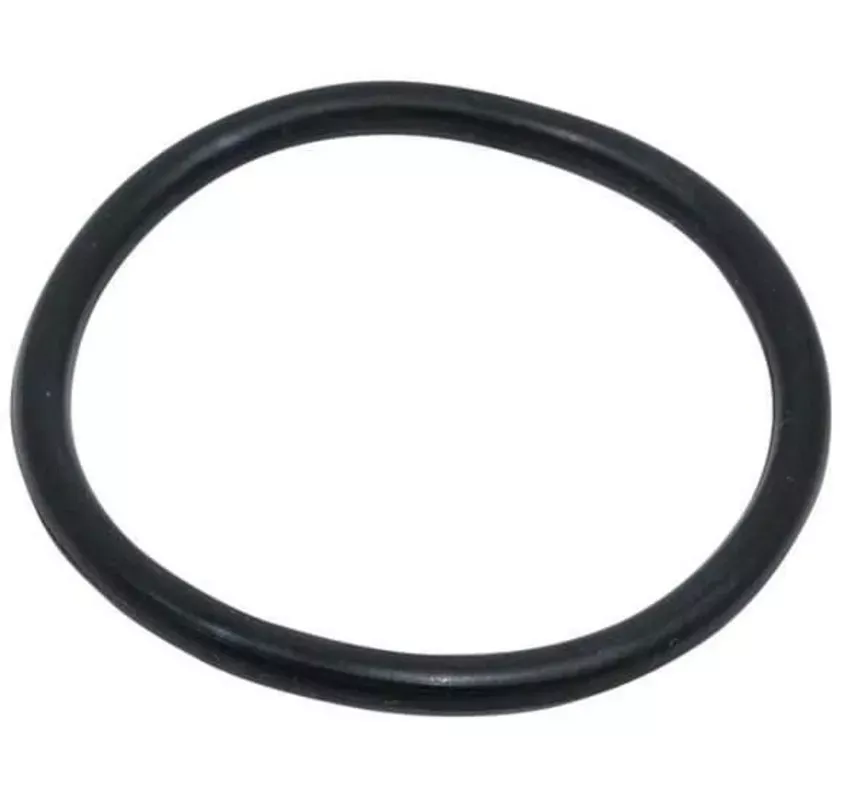 EZGO O-Ring Oil Filter (Years 1991-Up)