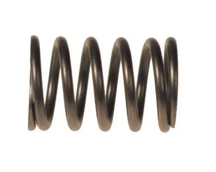 EZGO RXV Valve Spring (Years 2008 – Up)