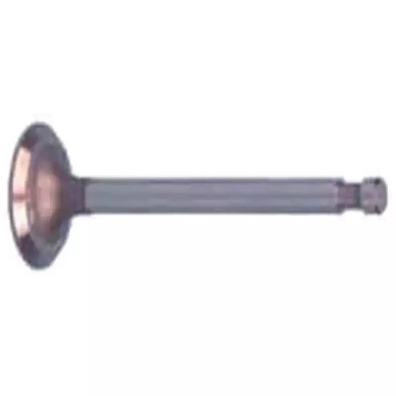 FE350 Exhaust Valve for Club Car 1996-Current