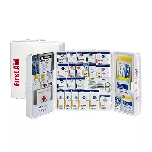First Aid Only Kit (245 pcs)