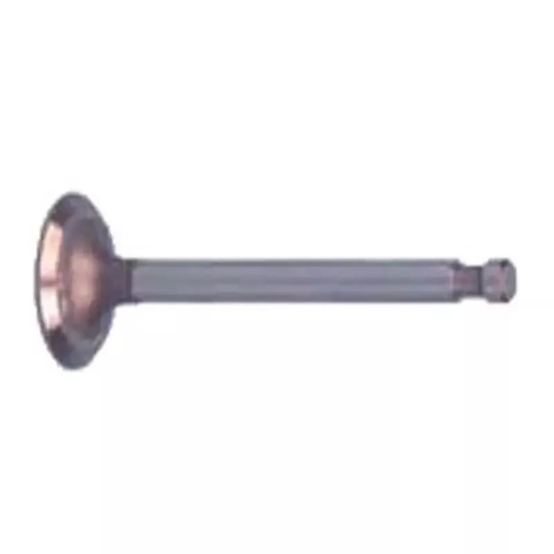 Intake Valve for Club Car Carryall 1996 – Current