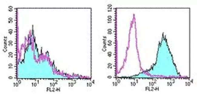 Invitrogen™ CD278 (ICOS) Monoclonal Antibody (7E.17G9), Functional Grade, eBioscience™, Invitrogen™