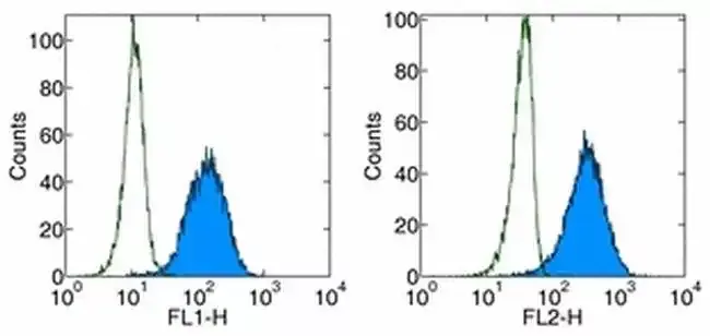Invitrogen™ CD279 (PD-1) Monoclonal Antibody (J116), Functional Grade, eBioscience™, Invitrogen™