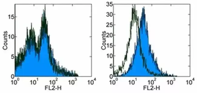 Invitrogen™ CD279 (PD-1) Monoclonal Antibody (J43), Functional Grade, eBioscience™, Invitrogen™Greener ChoiceOffers one or more environmental benefits itemized in the U.S. FTC Green Guides.Learn More" />