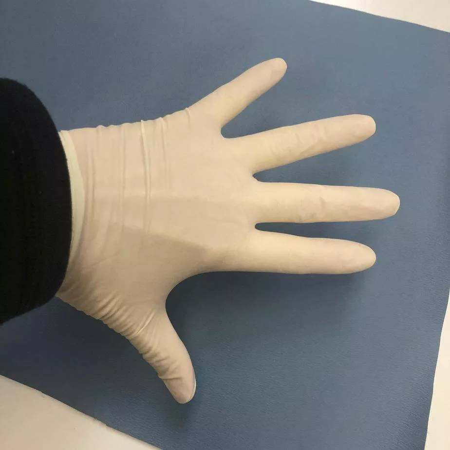 Latex Examination GlovesPowder Free