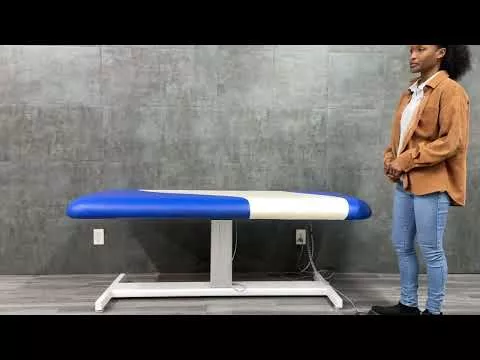 LEC Power Treatment / Exam Table