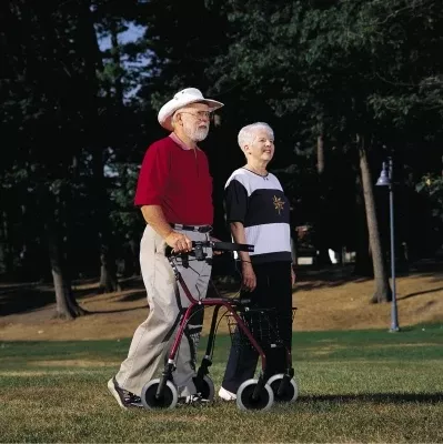 Legacy Standard Four Wheeled Dolomite Walker