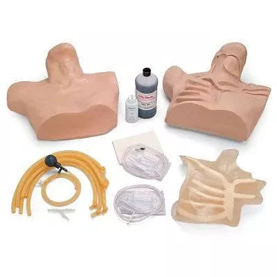 Nasco Central Venous Cannulation Simulator