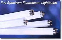Philips F32T8 TL950 Full Spectrum Fluorescent