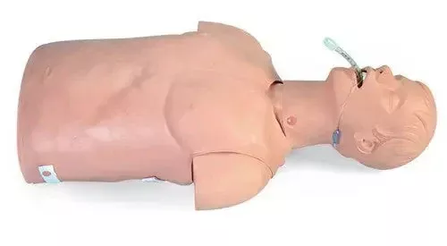 Simulaids Adult Airway Management Trainer Torso