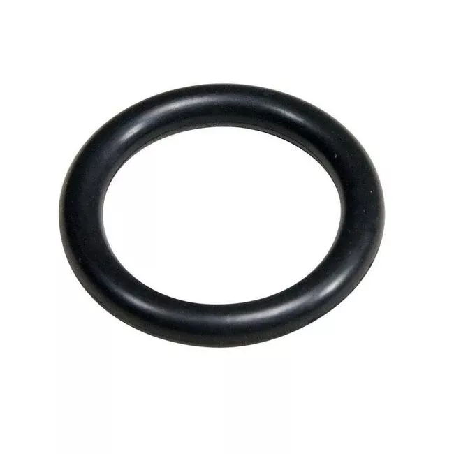 Welch™ Centering Ring Rubber O-ring